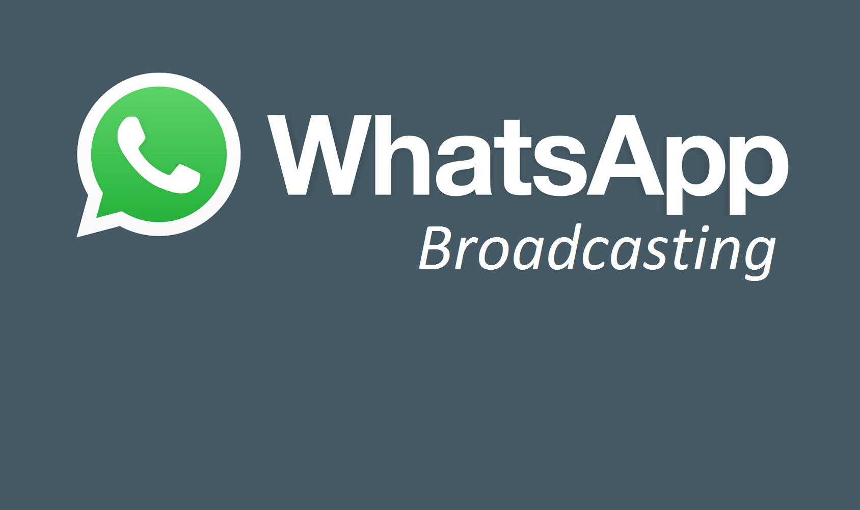 whats-app-broadcast-mg-web-service-siti-internet-genova