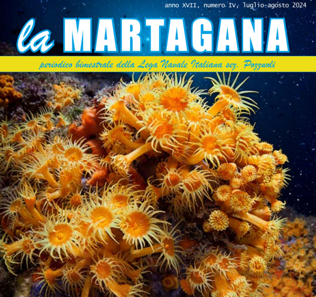 martagana4